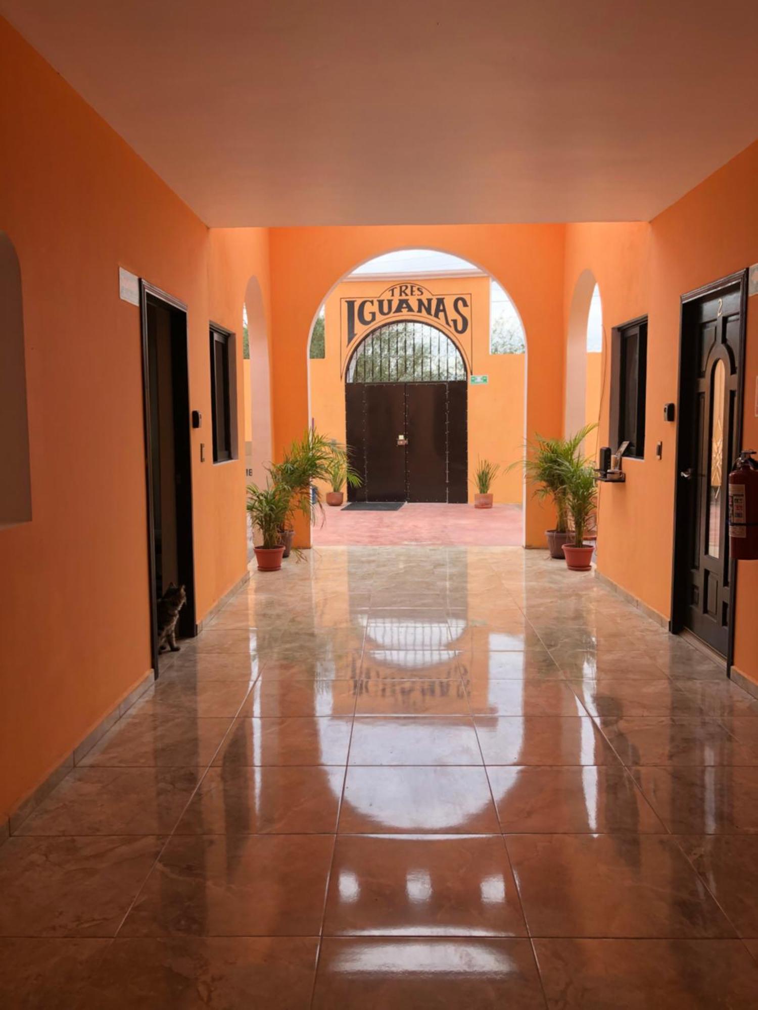 Tres Iguanas Apart Hotel - New, Cozy & Spacious Flats, Short Walk To Beach Loreto  Buitenkant foto
