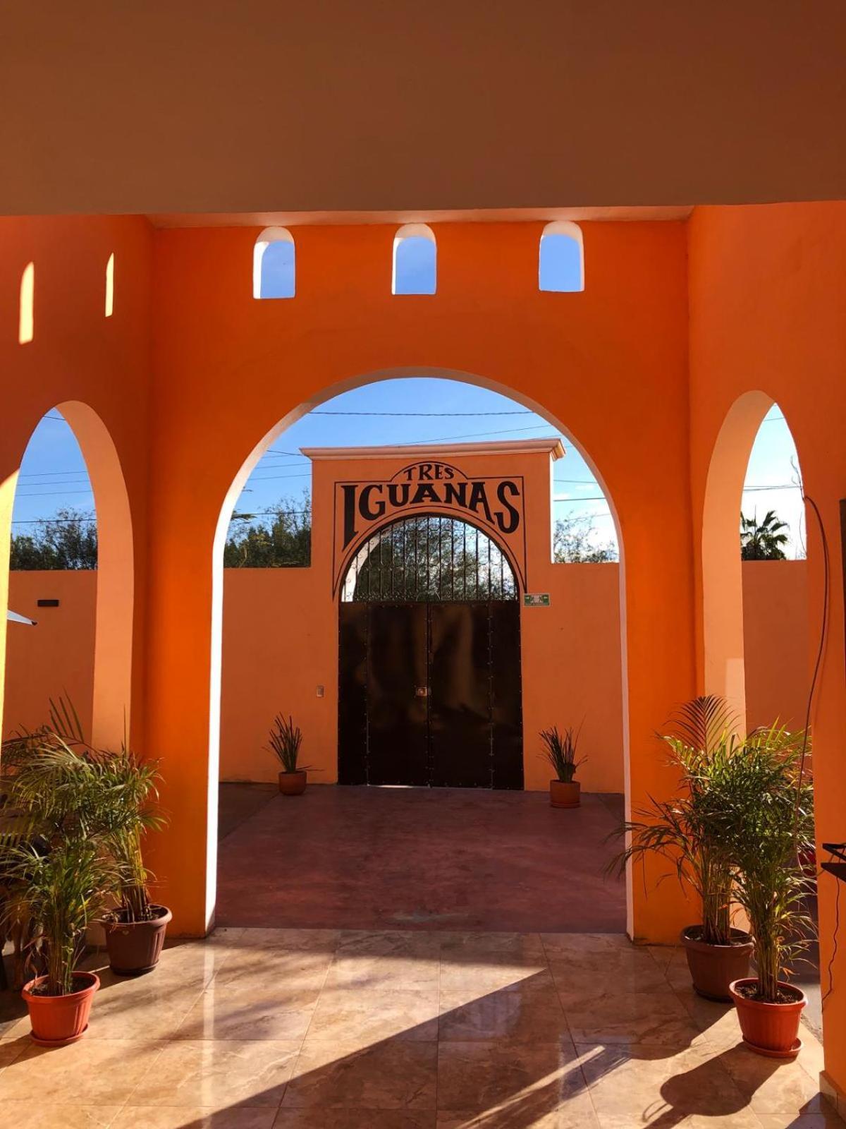 Tres Iguanas Apart Hotel - New, Cozy & Spacious Flats, Short Walk To Beach Loreto  Buitenkant foto
