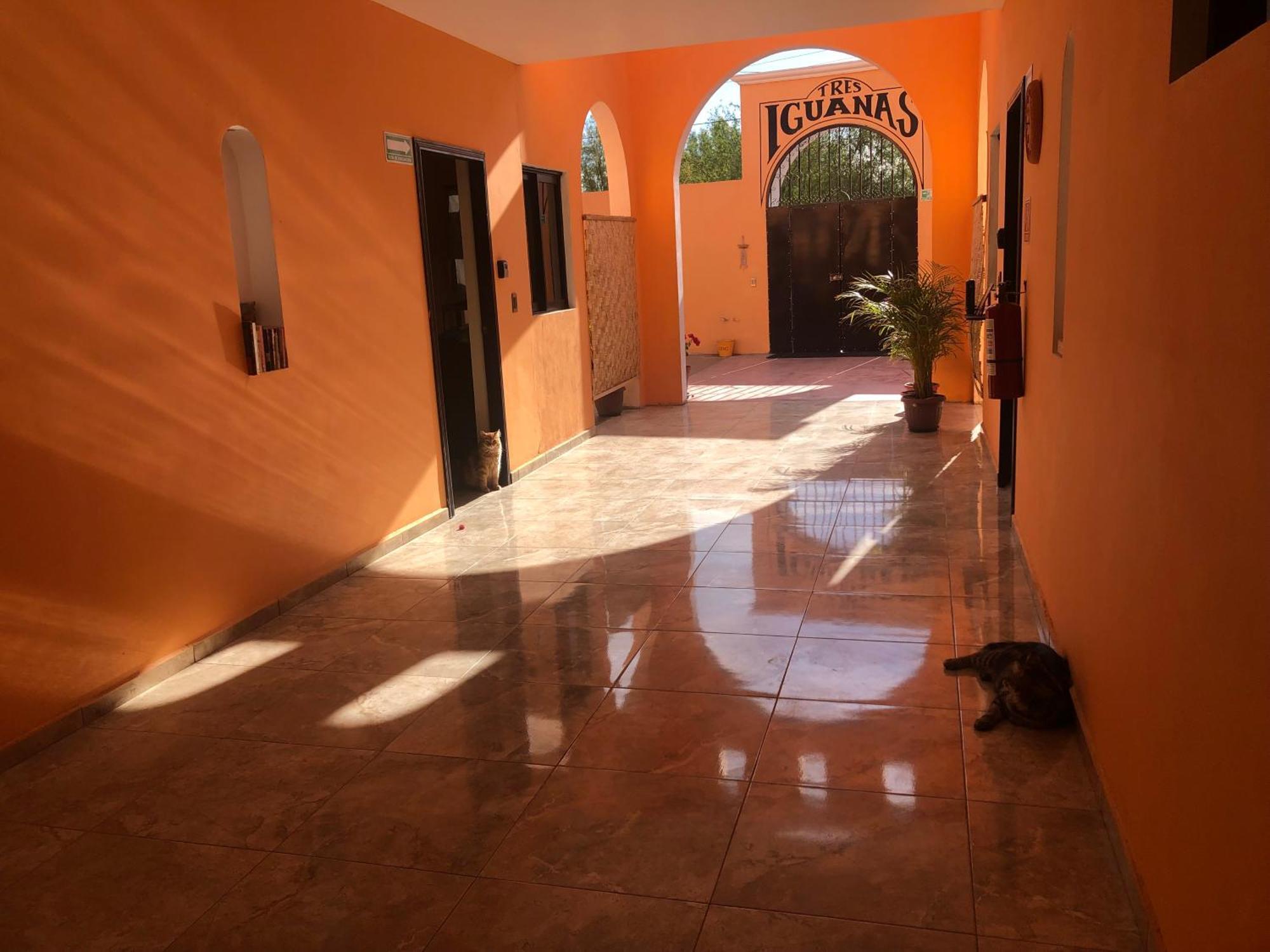 Tres Iguanas Apart Hotel - New, Cozy & Spacious Flats, Short Walk To Beach Loreto  Buitenkant foto