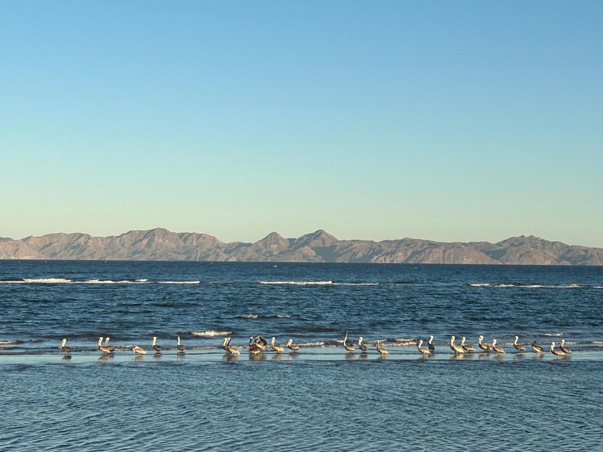 Tres Iguanas Apart Hotel - New, Cozy & Spacious Flats, Short Walk To Beach Loreto  Buitenkant foto